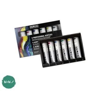 Acrylic Paint Set- Golden HEAVY BODY - PROFESSIONAL PRINCIPAL SET - 6 assorted 59ml tubes