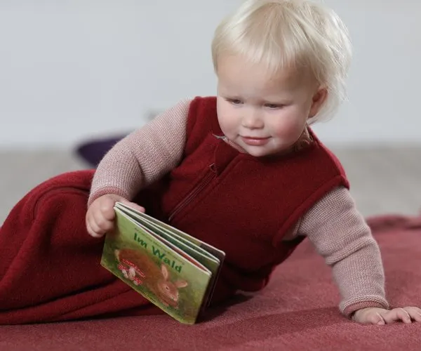 Boiled Wool Sleeping Bag - Disana