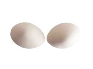 Bra Pads