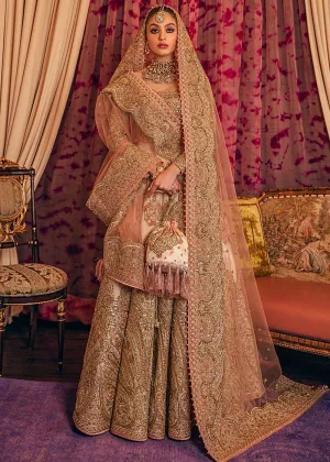 Bridal Traditional Lehnga Choli for Wedding #Y6184