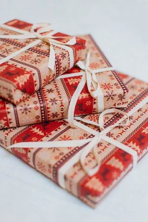 Christmas Premium Packaging