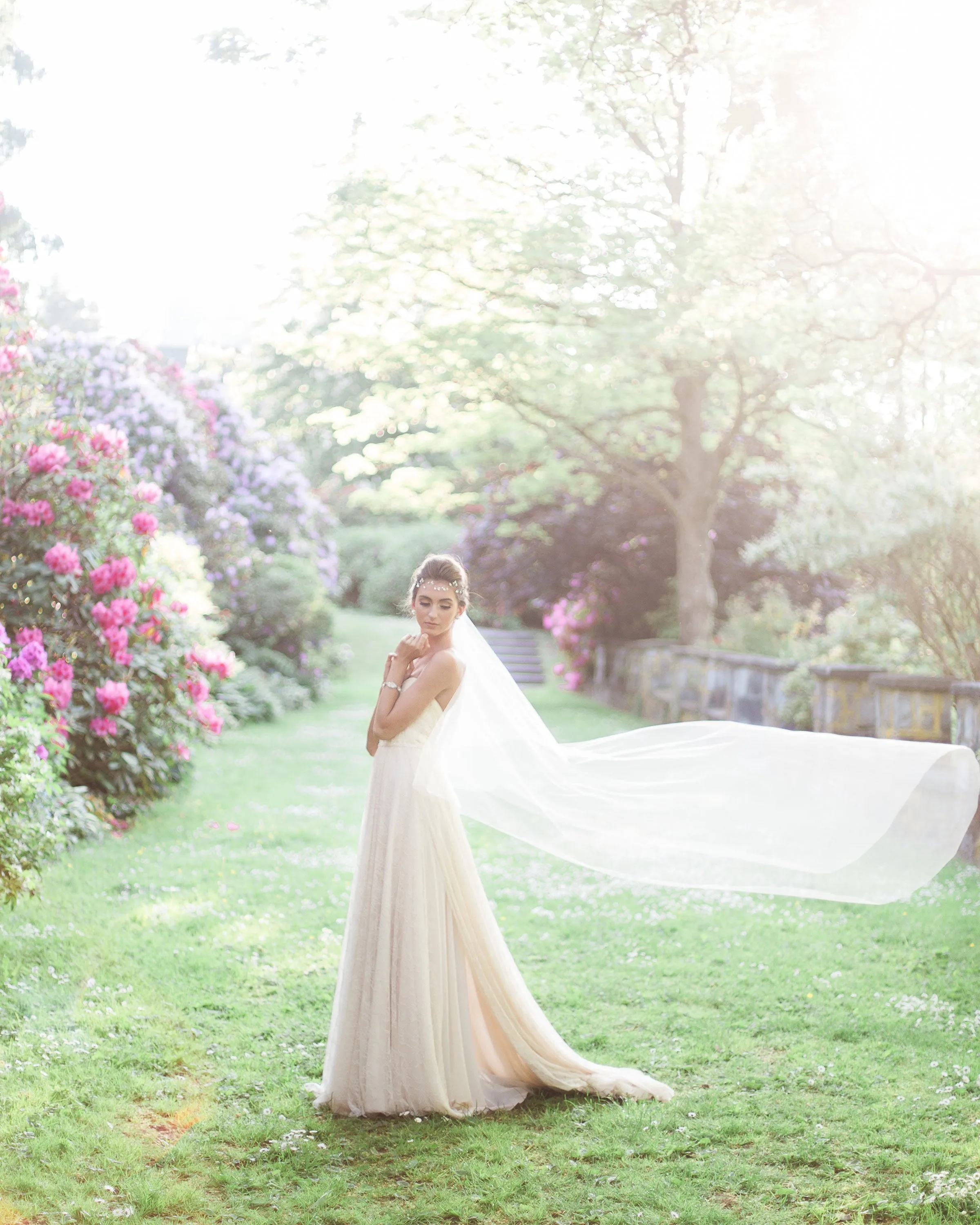 Delphine Circular Chapel Veil