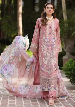 ECF-11B GISELLE |  Elaf Premium festive Chikankari collection2023