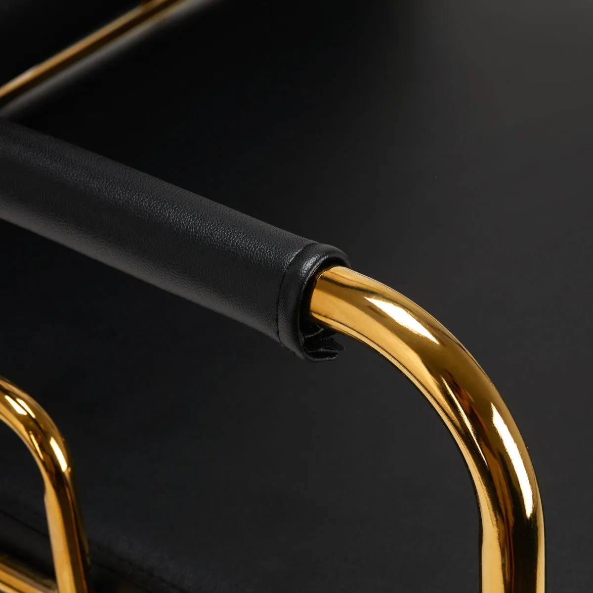 Gabbiano Hair Wash Unit Prato Gold & Black