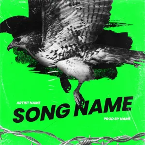 Hawk Premium Premade Cover