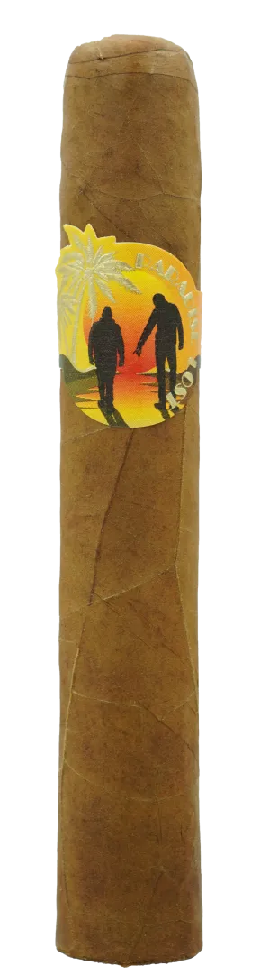 Lost & Found Paradise Lost Vintage 2014 Robusto Zigarre
