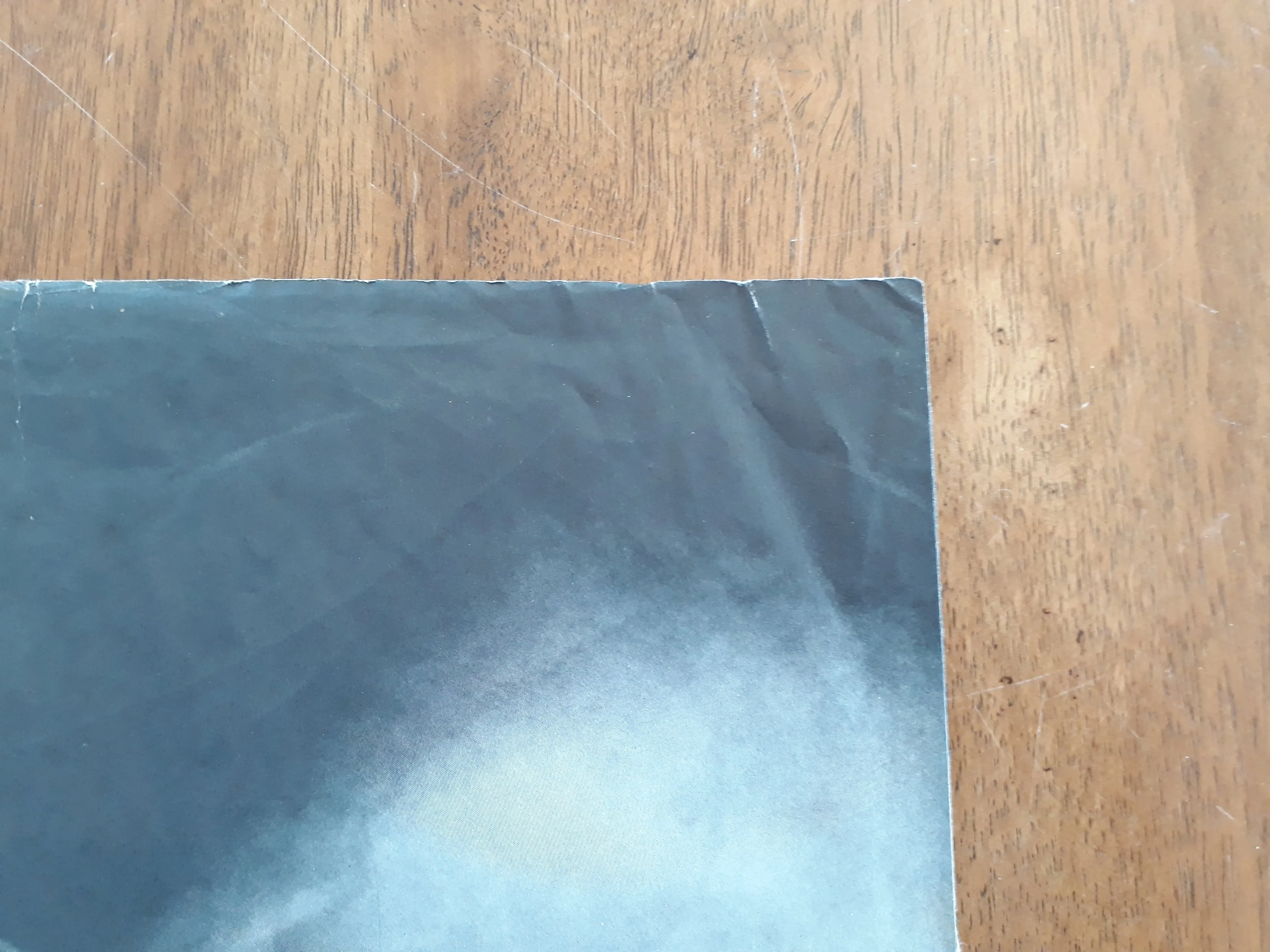 MINISTRY - The Mind Is A Terrible Thing To Taste VINYL (Orig. 1st US Pressing) [2ND HAND]