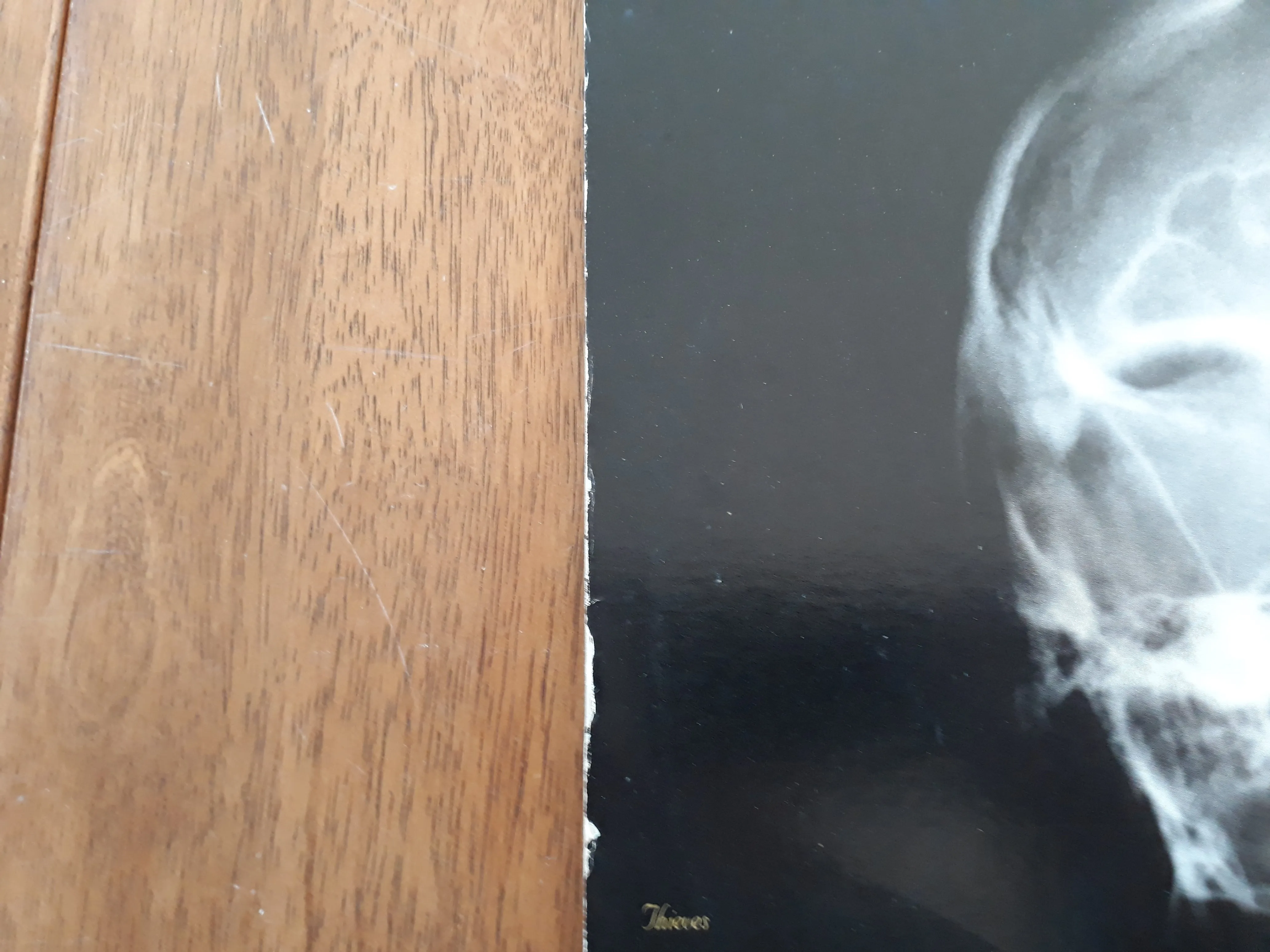MINISTRY - The Mind Is A Terrible Thing To Taste VINYL (Orig. 1st US Pressing) [2ND HAND]