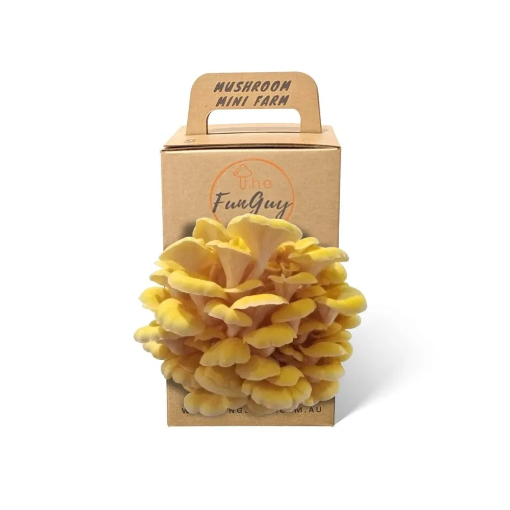 Mushroom Mini Farms - The FunGuy