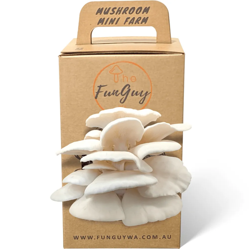 Mushroom Mini Farms - The FunGuy