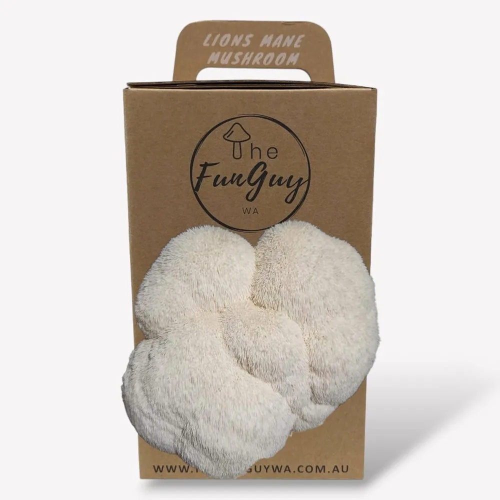 Mushroom Mini Farms - The FunGuy
