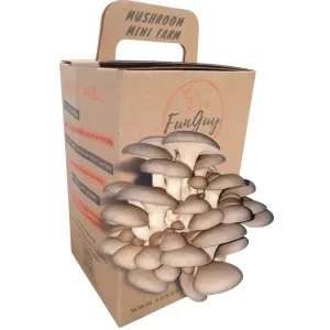 Mushroom Mini Farms - The FunGuy