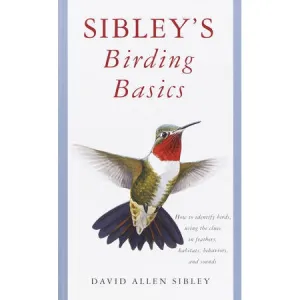 Sibley's Backyard Birding Basics