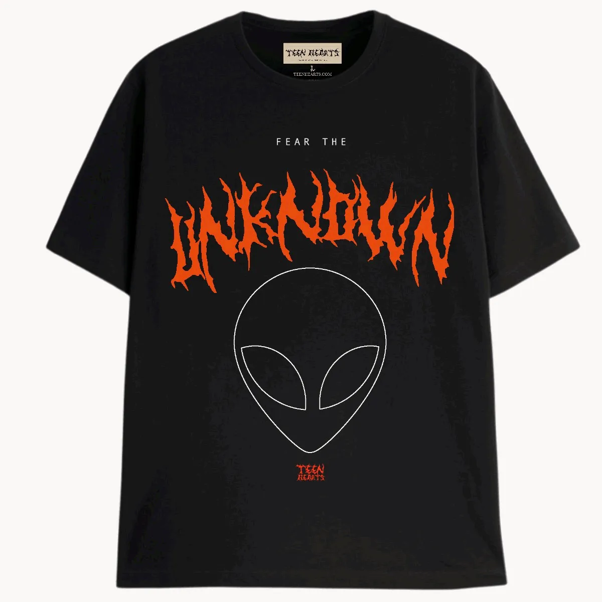 THE UNKNOWN