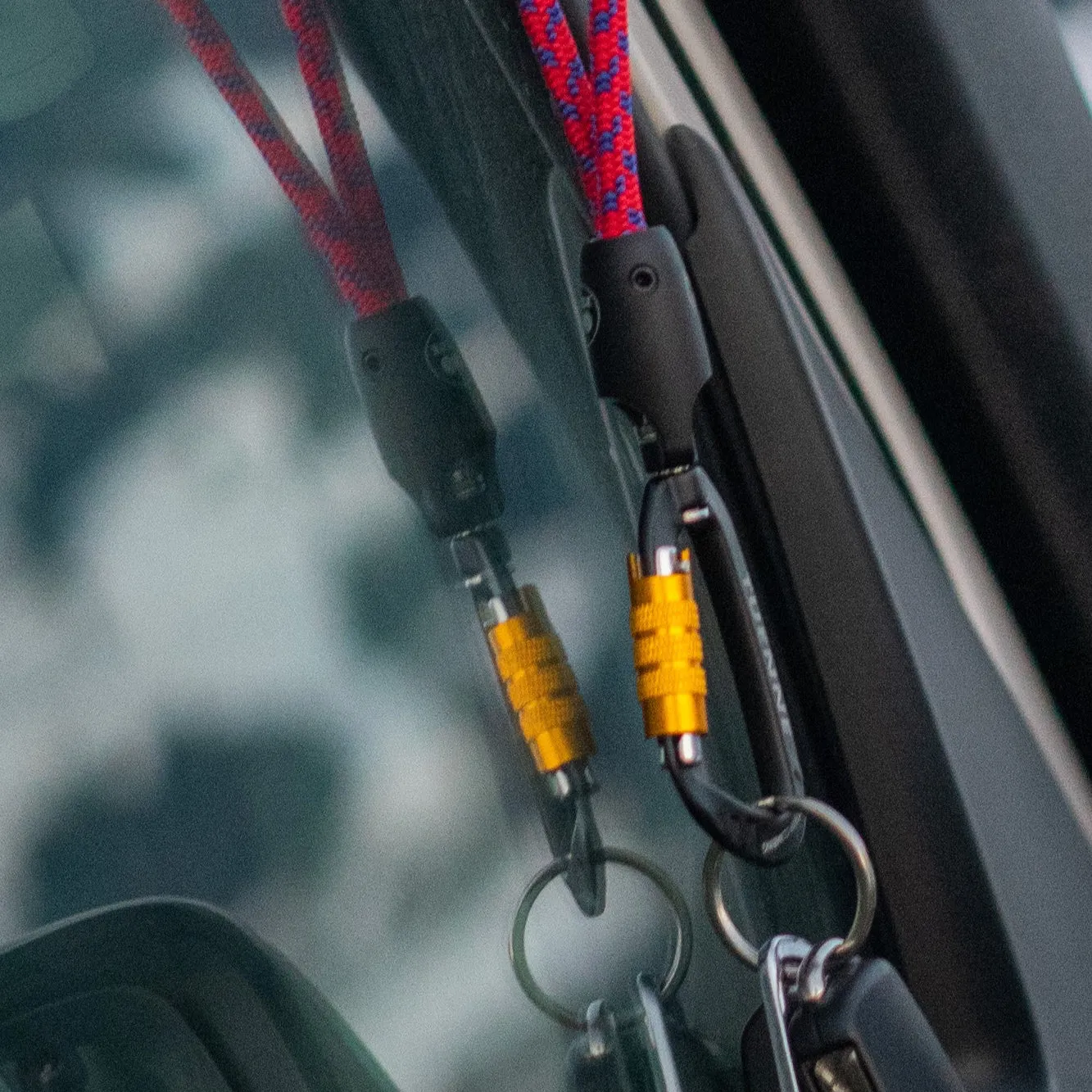 The World's Most Interesting Lanyard