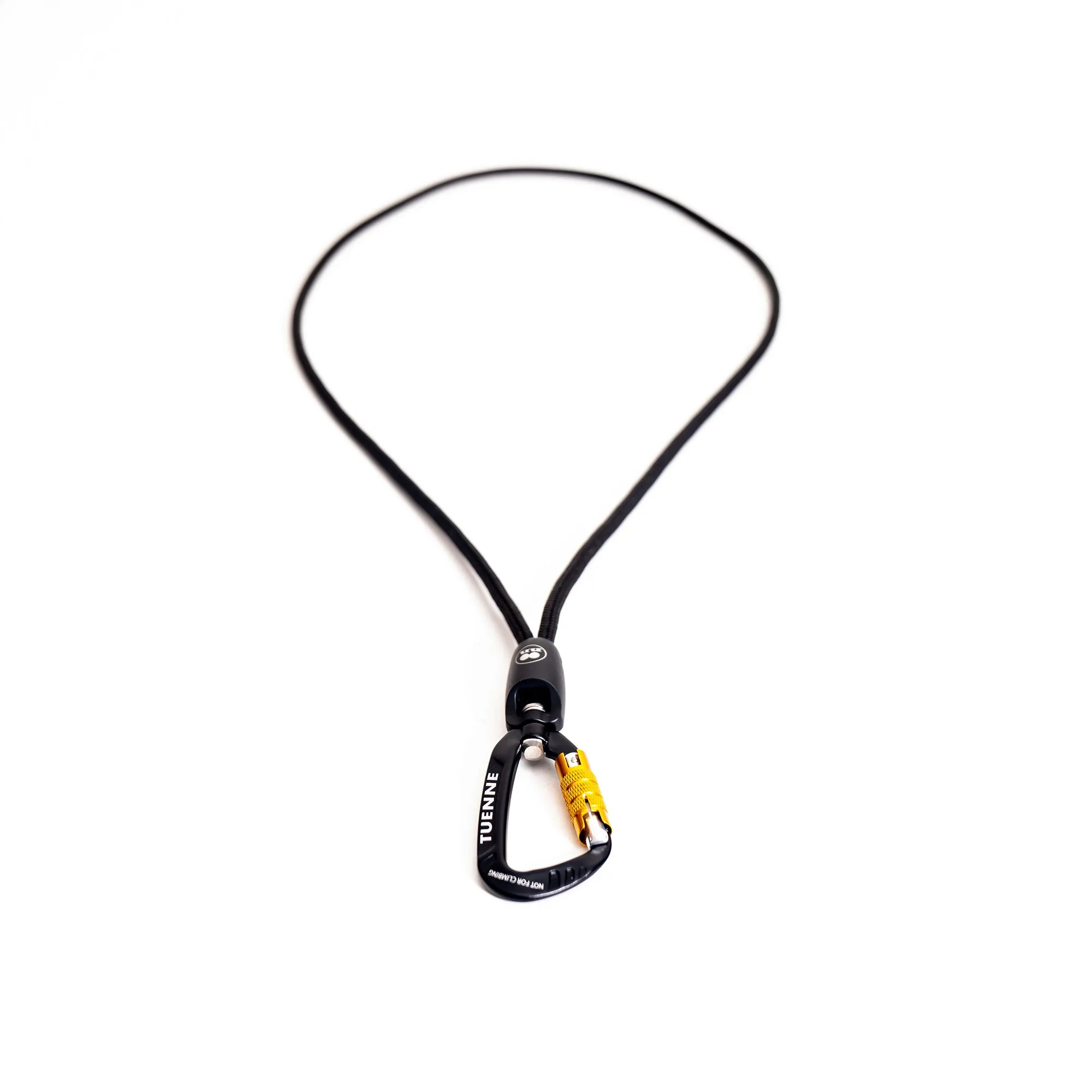 The World's Most Interesting Lanyard
