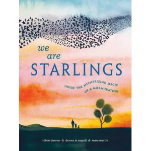 We Are Starlings - Inside the Mesmerizing Magic of a Murmuration