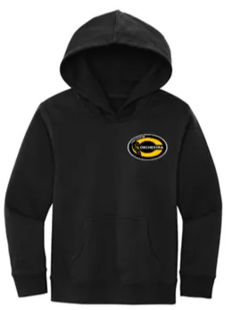 Youth Hoodie- ORCHC24
