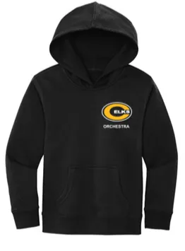 Youth Hoodie- ORCHC24