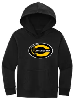 Youth Hoodie- ORCHC24